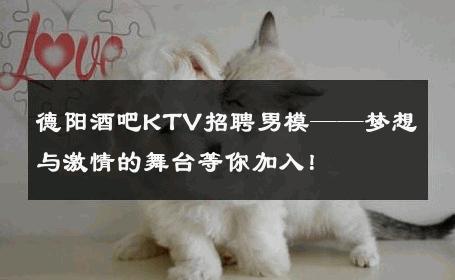 德阳酒吧KTV招聘男模——梦想与激情的舞台等你加入！ 