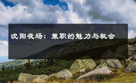 沈阳夜场：兼职的魅力与机会 