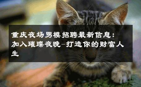 重庆夜场男模招聘最新信息：加入璀璨夜晚-打造你的财富人生 
