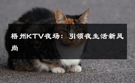 梧州KTV夜场：引领夜生活新风尚 