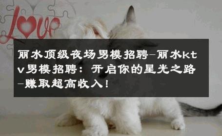 丽水顶级夜场男模招聘-丽水ktv男模招聘：开启你的星光之路-赚取超高收入！ 