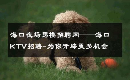 海口夜场男模招聘网——海口KTV招聘-为你开辟更多机会 