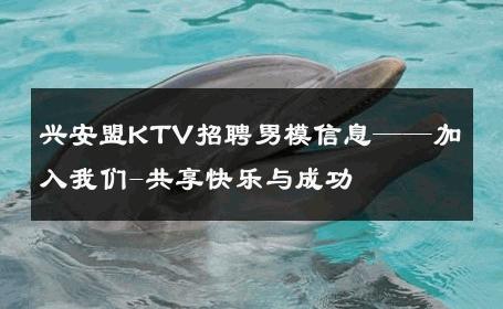 兴安盟KTV招聘男模信息——加入我们-共享快乐与成功 