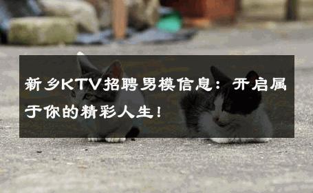 新乡KTV招聘男模信息：开启属于你的精彩人生！ 