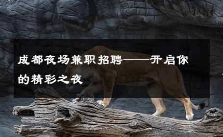 成都夜场兼职招聘——开启你的精彩之夜 
