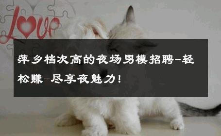 萍乡档次高的夜场男模招聘-轻松赚-尽享夜魅力！ 