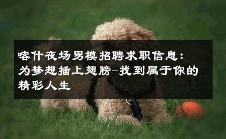 喀什夜场男模招聘求职信息：为梦想插上翅膀-找到属于你的精彩人生 