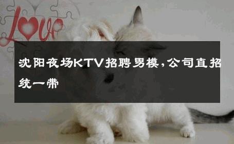 沈阳夜场KTV招聘男模,公司直招统一带 