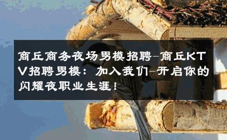 商丘商务夜场男模招聘-商丘KTV招聘男模：加入我们-开启你的闪耀夜职业生涯！ 