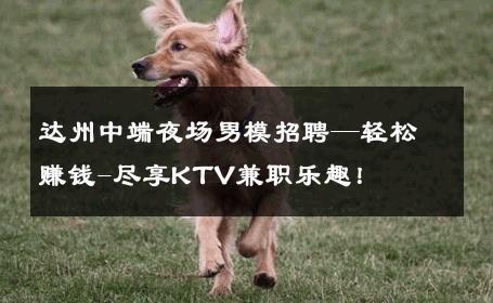 达州中端夜场男模招聘—轻松赚钱-尽享KTV兼职乐趣！ 