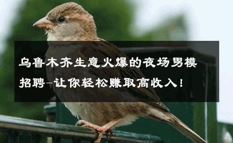 乌鲁木齐生意火爆的夜场男模招聘-让你轻松赚取高收入！ 