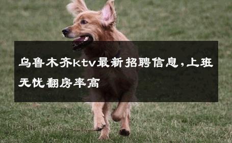 乌鲁木齐ktv最新招聘信息,上班无忧翻房率高 