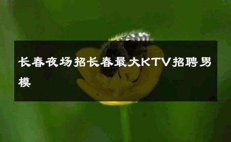 长春夜场招长春最大KTV招聘男模 