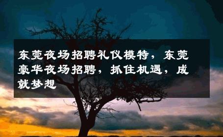 东莞夜场招聘礼仪模特，东莞豪华夜场招聘，抓住机遇，成就梦想