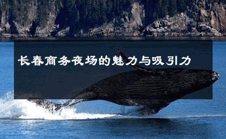长春商务夜场的魅力与吸引力 