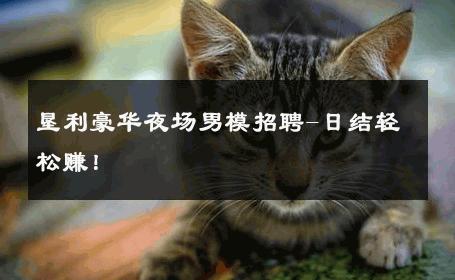 垦利豪华夜场男模招聘-日结轻松赚！ 