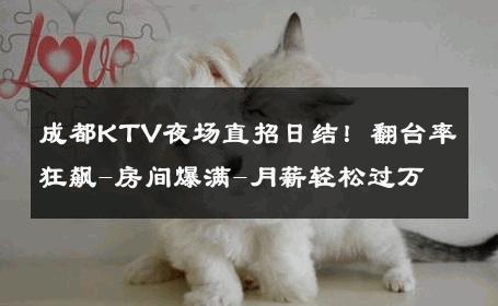 成都KTV夜场直招日结！翻台率狂飙-房间爆满-月薪轻松过万 