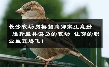 长沙夜场男模招聘哪家生意好-选择最具潜力的夜场-让你的职业生涯腾飞！ 