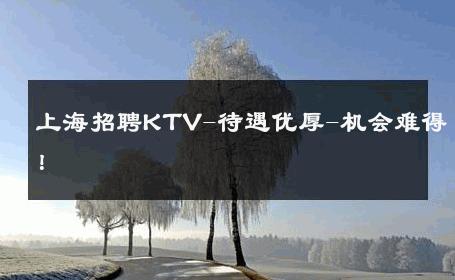 上海招聘KTV-待遇优厚-机会难得！ 