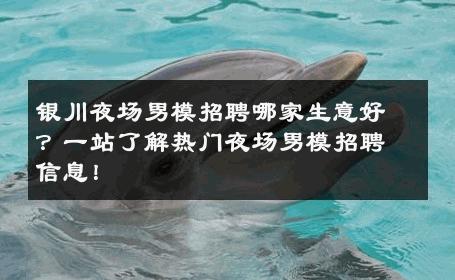 银川夜场男模招聘哪家生意好？一站了解热门夜场男模招聘信息！ 