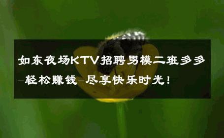 如东夜场KTV招聘男模二班多多-轻松赚钱-尽享快乐时光！ 