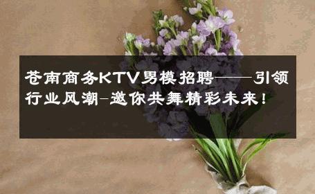 苍南商务KTV男模招聘——引领行业风潮-邀你共舞精彩未来！ 