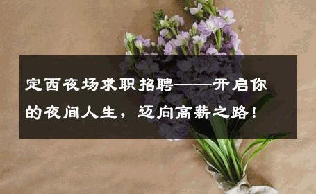 定西夜场求职招聘——开启你的夜间人生，迈向高薪之路！
