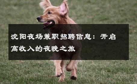 沈阳夜场兼职招聘信息：开启高收入的夜晚之旅 
