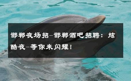 邯郸夜场招-邯郸酒吧招聘：炫酷夜-等你来闪耀！ 