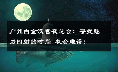 广州白金汉宫夜总会：寻找魅力四射的时尚-机会难得！ 