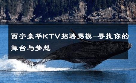 西宁豪华KTV招聘男模-寻找你的舞台与梦想 