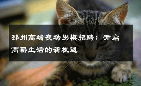 邳州高端夜场男模招聘：开启高薪生活的新机遇 