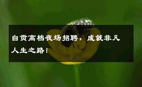 自贡高档夜场招聘，成就非凡人生之路！