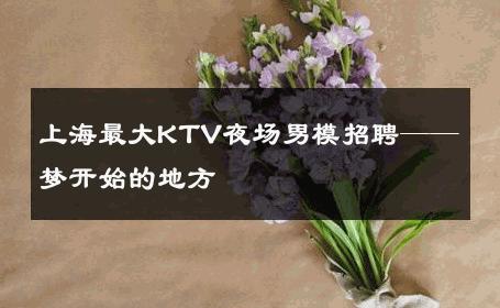 上海最大KTV夜场男模招聘——梦开始的地方 
