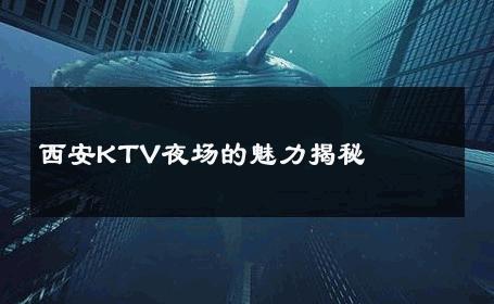 西安KTV夜场的魅力揭秘 