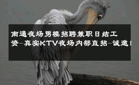 南通夜场男模招聘兼职日结工资-真实KTV夜场内部直招-诚邀！ 