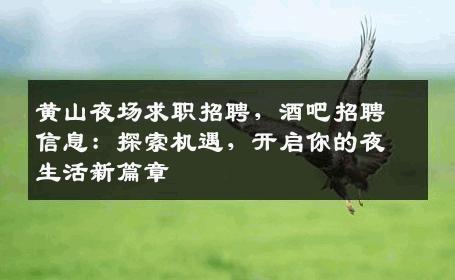 黄山夜场求职招聘，酒吧招聘信息：探索机遇，开启你的夜生活新篇章