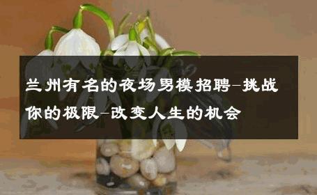 兰州有名的夜场男模招聘-挑战你的极限-改变人生的机会 