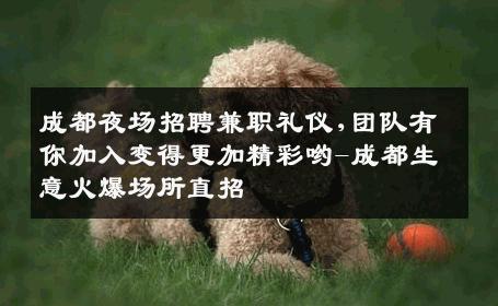 成都夜场招聘兼职礼仪,团队有你加入变得更加精彩哟-成都生意火爆场所直招