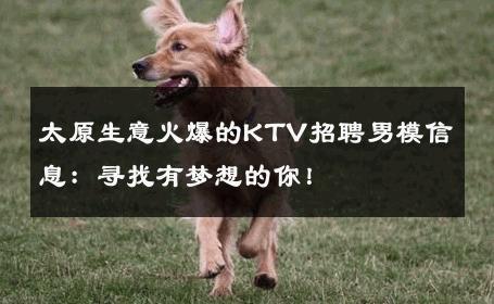 太原生意火爆的KTV招聘男模信息：寻找有梦想的你！ 