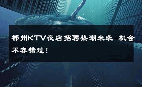 郴州KTV夜店招聘热潮来袭-机会不容错过！ 