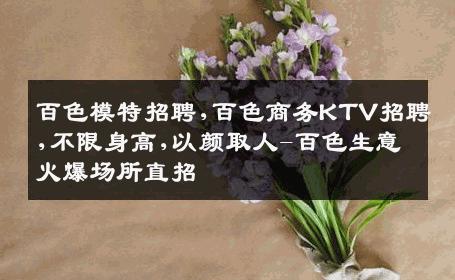 百色模特招聘,百色商务KTV招聘,不限身高,以颜取人-百色生意火爆场所直招