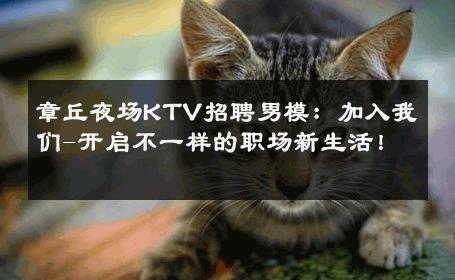 章丘夜场KTV招聘男模：加入我们-开启不一样的职场新生活！ 