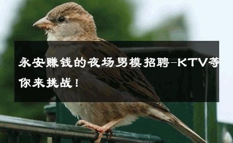 永安赚钱的夜场男模招聘-KTV等你来挑战！ 