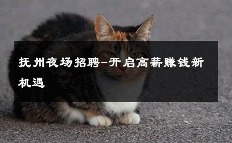 抚州夜场招聘-开启高薪赚钱新机遇 