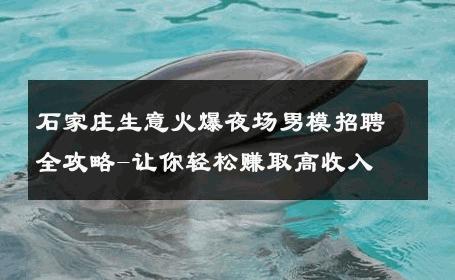 石家庄生意火爆夜场男模招聘全攻略-让你轻松赚取高收入 
