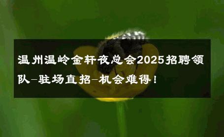 温州温岭金轩夜总会2025招聘领队-驻场直招-机会难得！ 