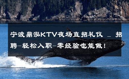 宁波鼎泓KTV夜场直招礼仪 _ 招聘-轻松入职-零经验也能做！ 