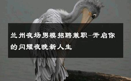 兰州夜场男模招聘兼职-开启你的闪耀夜晚新人生 