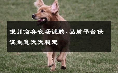 银川商务夜场诚聘,品质平台保证生意天天稳定 